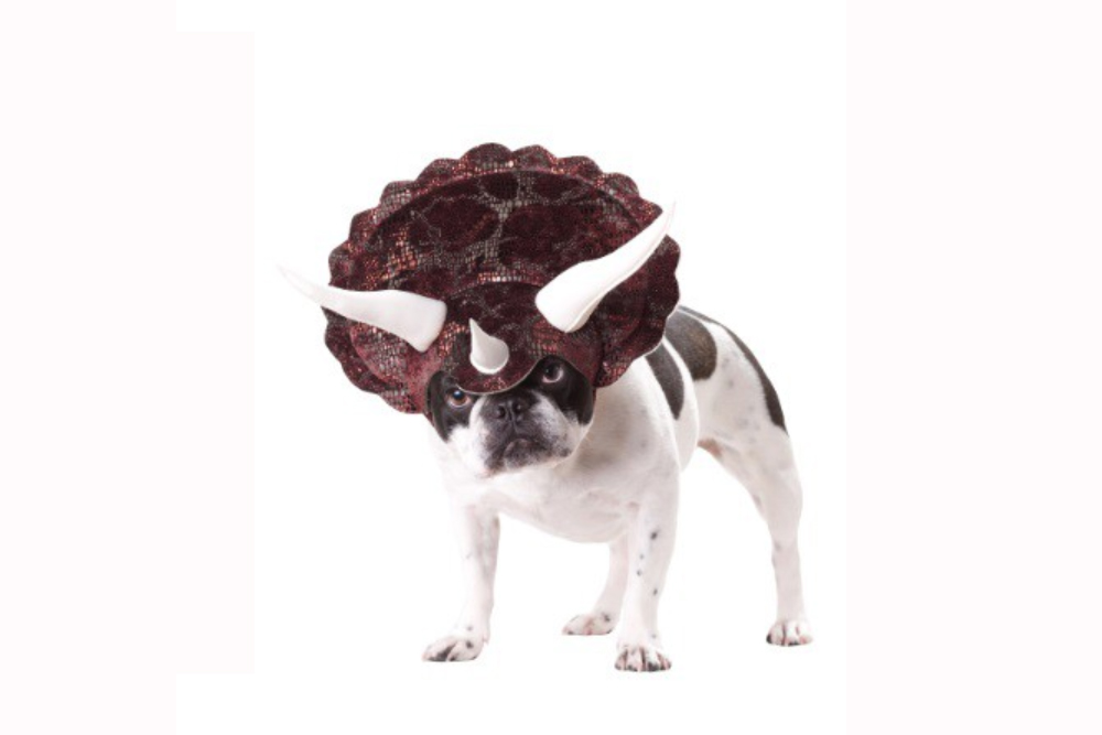 pet halloween costumes