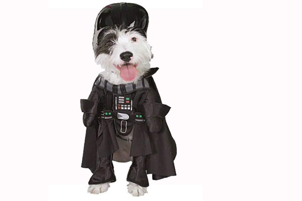 pet halloween costumes