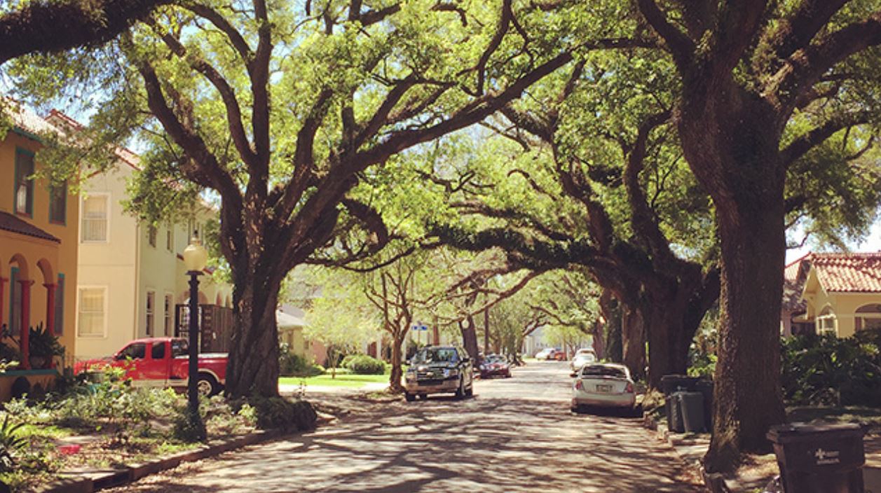 Non touristy attractions in New Orleans